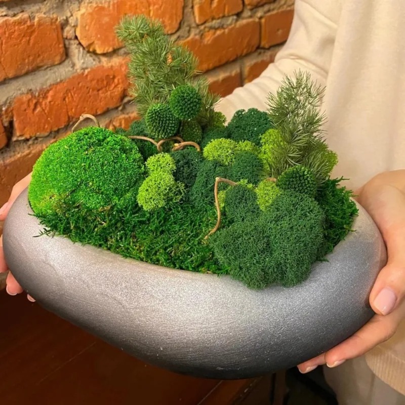 Artificial Green Moss Fake Mos - Sphagnum Moss Dry recension och pris