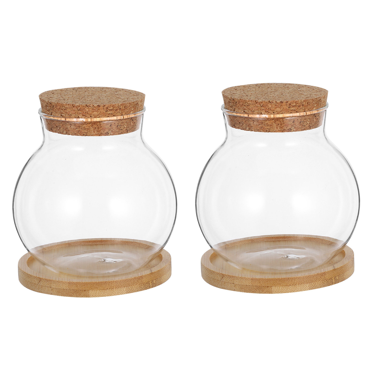 2Set Hydroponic Glass Elegant  - Propagation Station Vase recension och pris