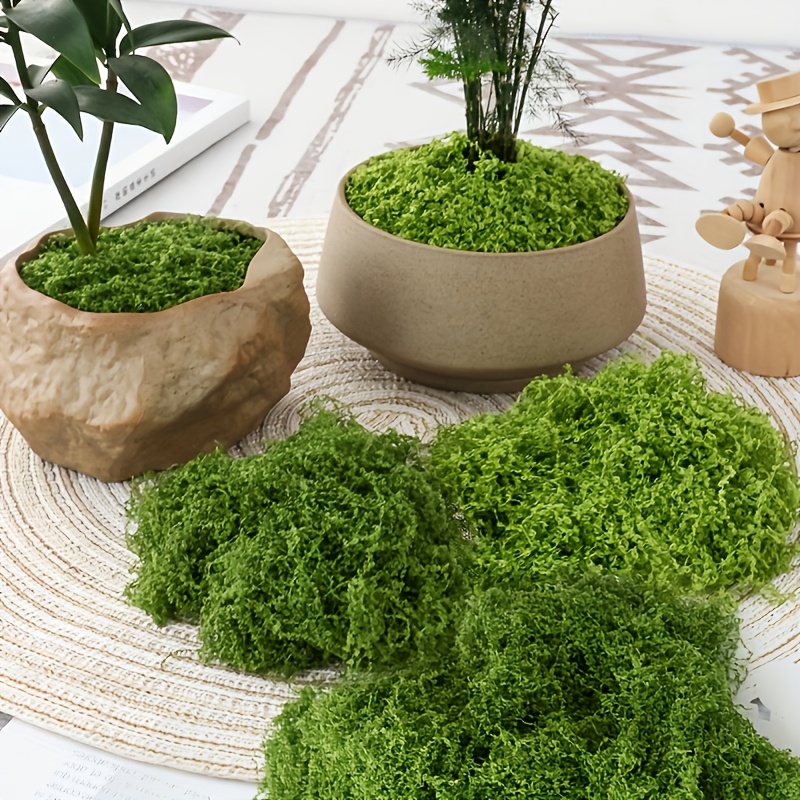 Large Pack Realistic Artificia - Sphagnum Moss Dry recension och pris